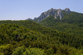 Bačić kuk